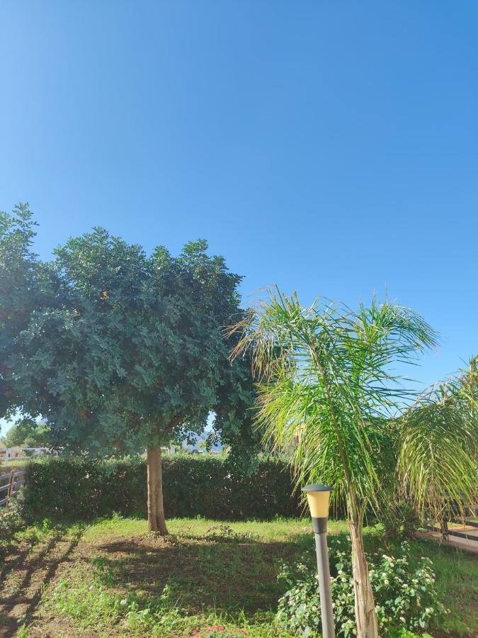 Villa Castiglione Custonaci Zewnętrze zdjęcie